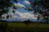 _mg_1741_small.jpg