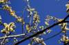 _mg_5531a_small.jpg