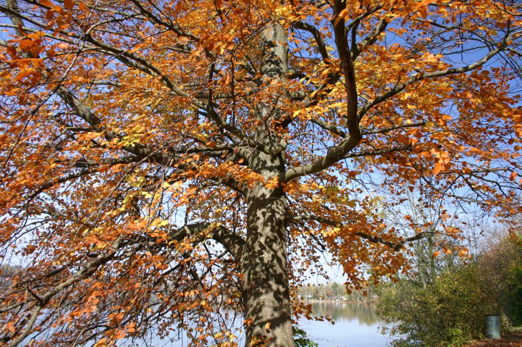 ammersee11.jpg