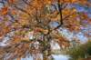 ammersee11_small.jpg