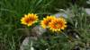 dsc02410_small.jpg