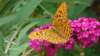 dscf2223_small.jpg