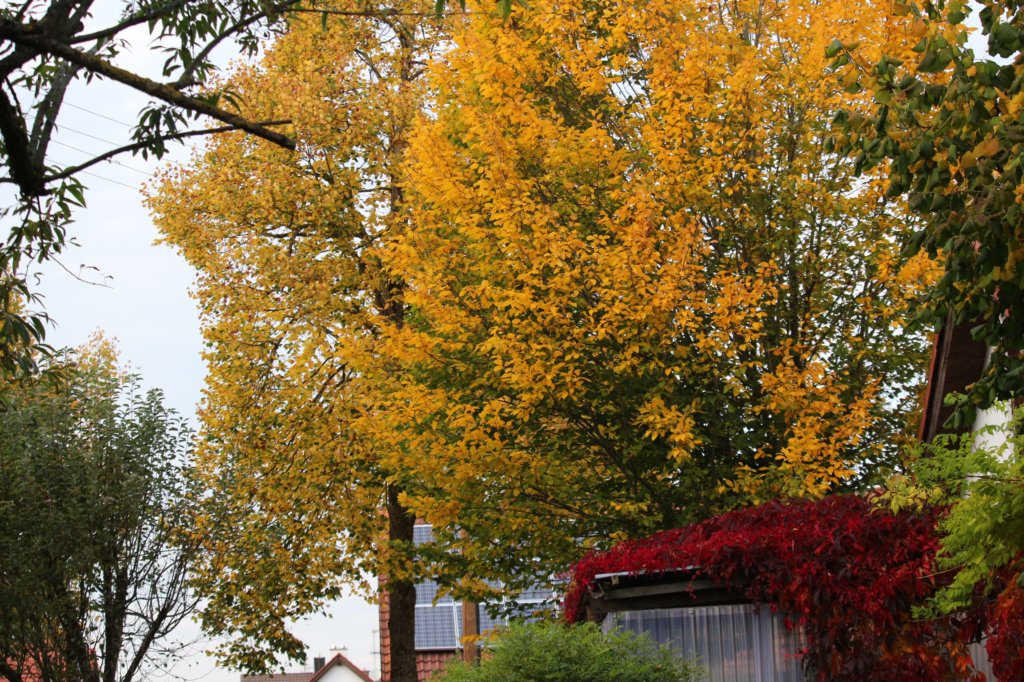garten_6672.jpg