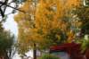 garten_6672_small.jpg