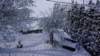 garten_wintereinbruch_03697_small.jpg