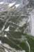 groglockner2_small.jpg