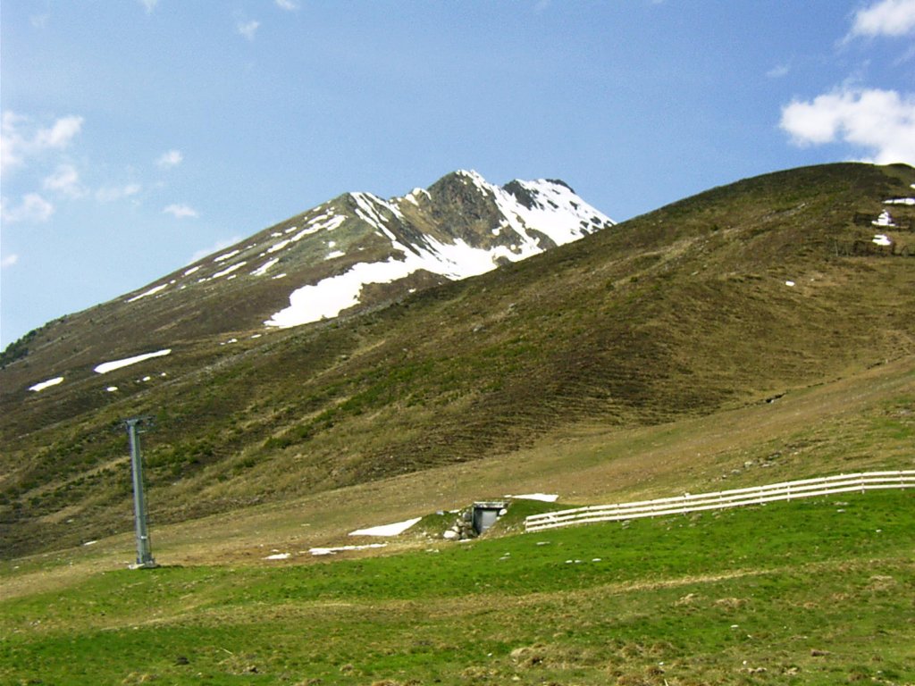 imag0011.jpg