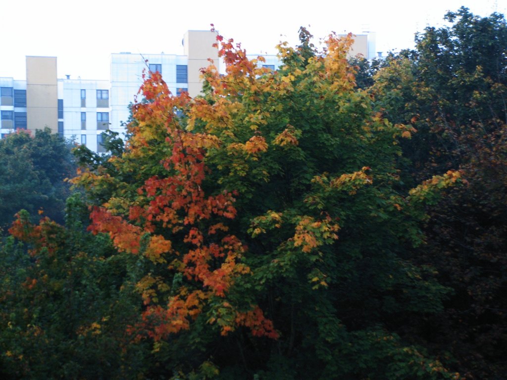 pict0001.jpg