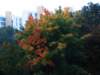 pict0001_small.jpg