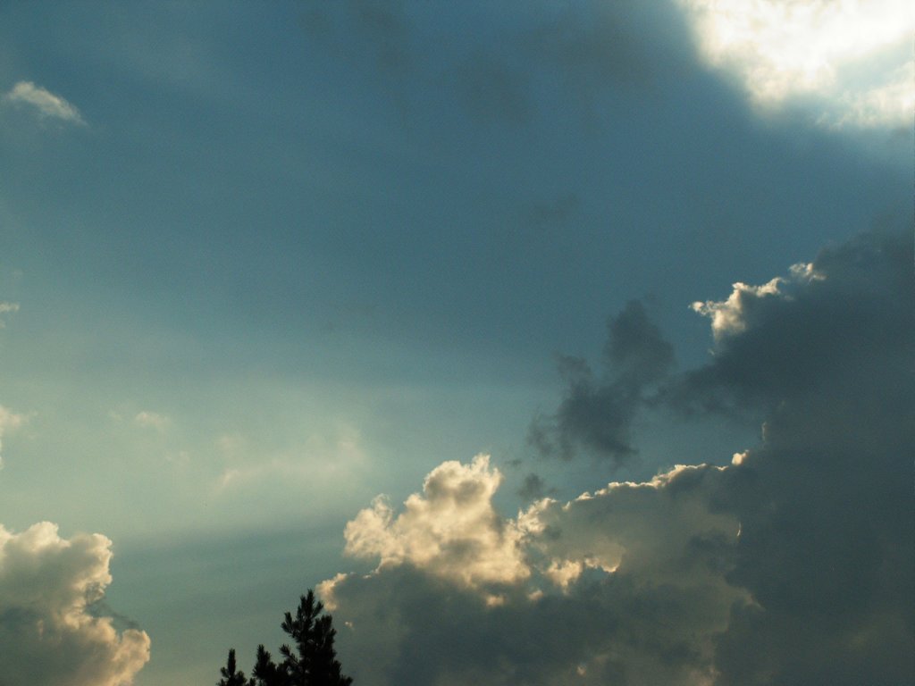 pict0105.jpg