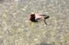 rest_020_small.jpg